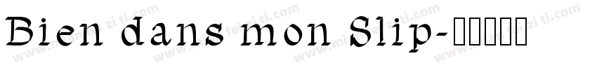 Bien dans mon Slip字体转换